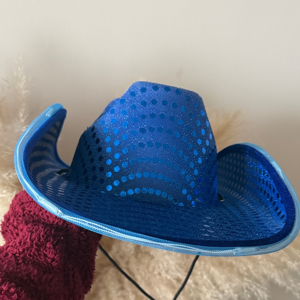 Blue Cowboy Hat
